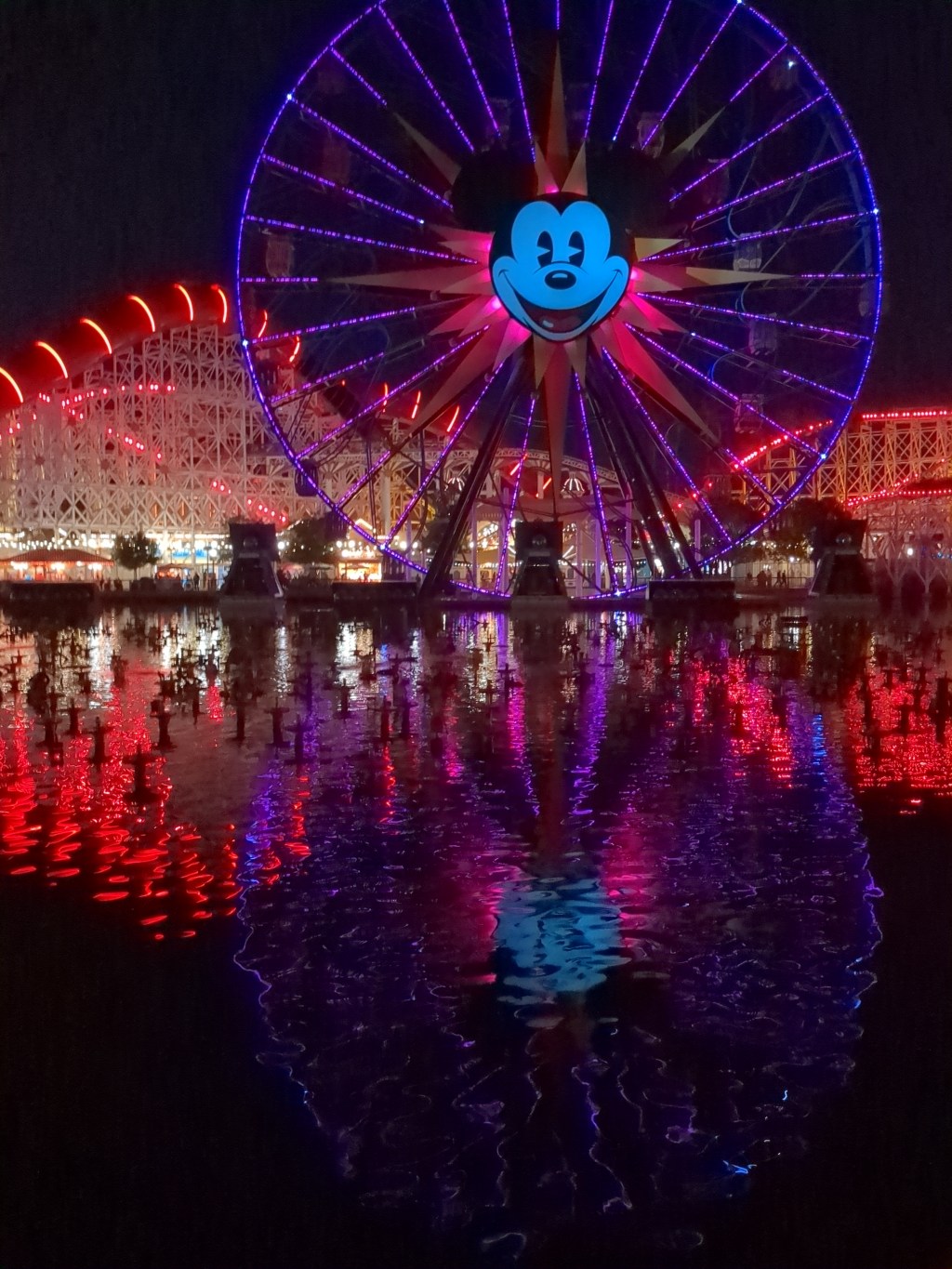 Disneyland for the Hypermobile, Chronically Fatigued, Hot&nbsp;Mess